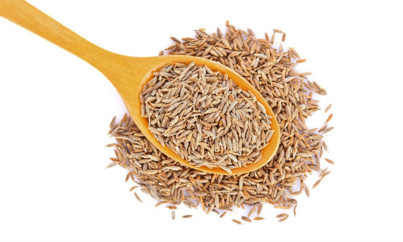 — شٹر اسٹاک فوٹو — شٹر اسٹاک فوٹو