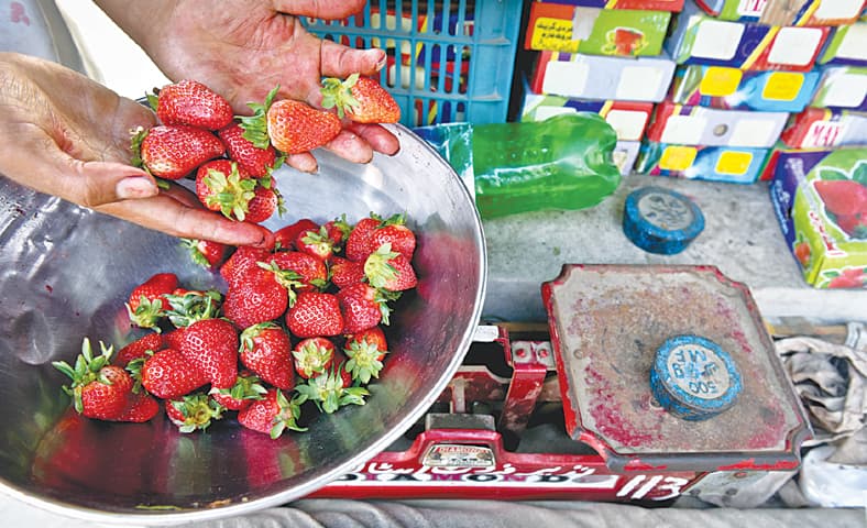 A kilogram of strawberries usually costs around Rs240.