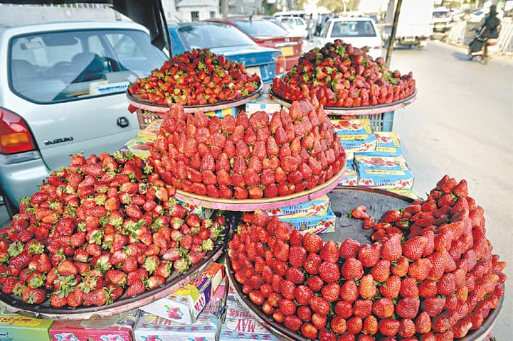 Don’t miss out on strawberries this season.