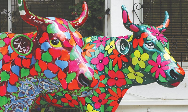 A couple of flowery cows at the Consulate General of Switzerland, Karachi