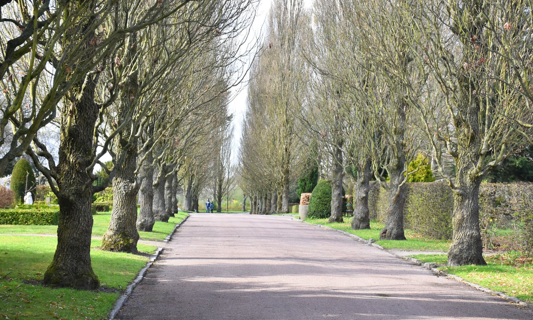 قبرستان کی ایک گزرگاہ جہاں ایک بار پھر سبزہ نظر آئے گا&mdash;تصویر رمضان رفیق