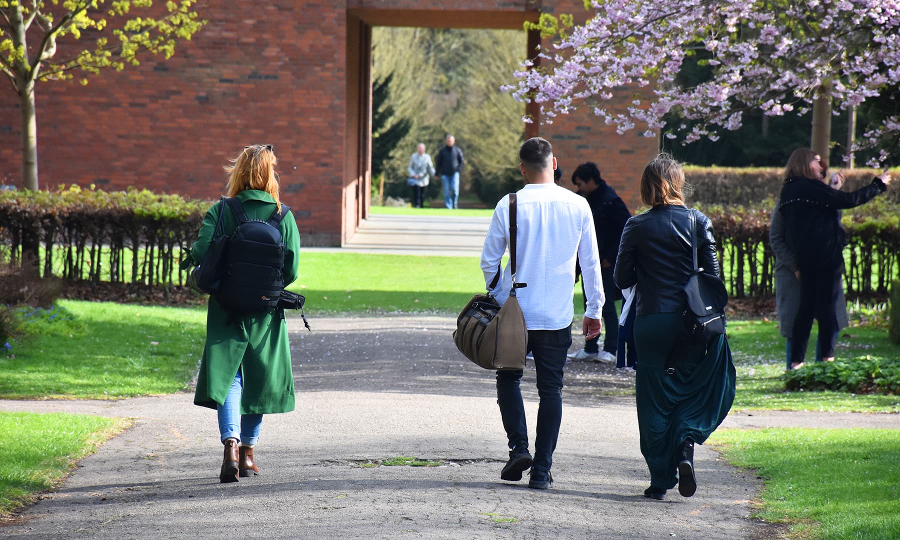 چیری کے پھولوں والی یہ گلی 1992ء میں بنائی گئی تھی یعنی اس تاریخ کو پودوں کو لگایا گیا تھا&mdash;تصویر رمضان رفیق