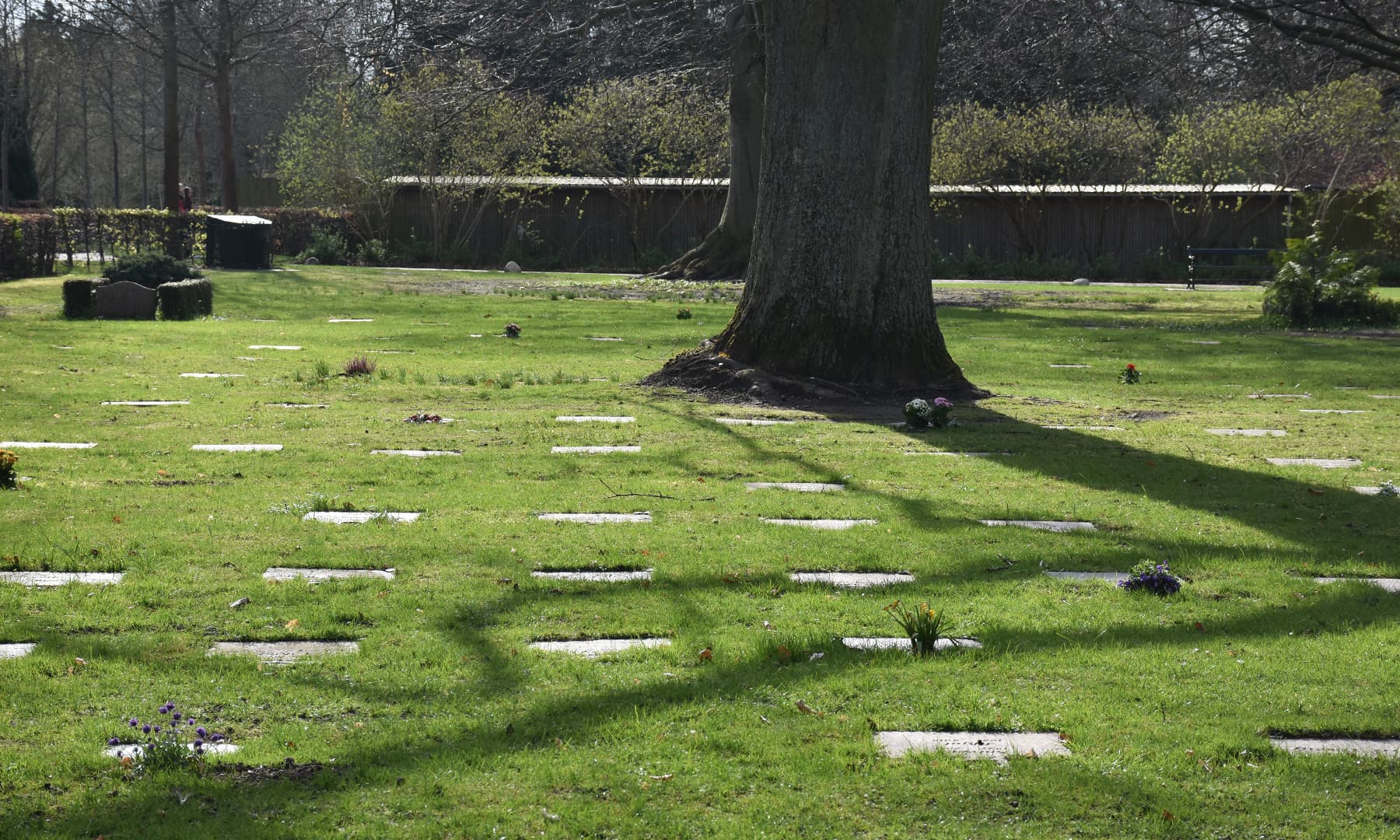 قبرستان میں تقریباً سبھی قبریں زمین کے ساتھ ہموار ہیں&mdash;تصویر رمضان رفیق