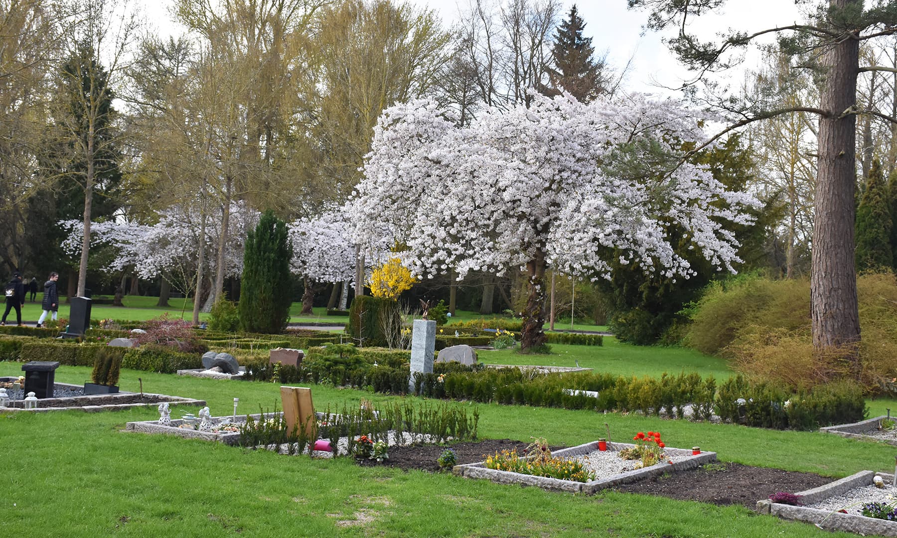 قبرستان میں فطری حسن ہر سوں پھیلا نظر آتا ہے&mdash;تصویر رمضان رفیق