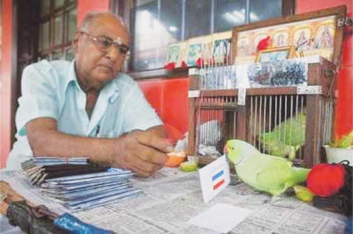 Mani the Parakeet wrongly favours the Netherlands