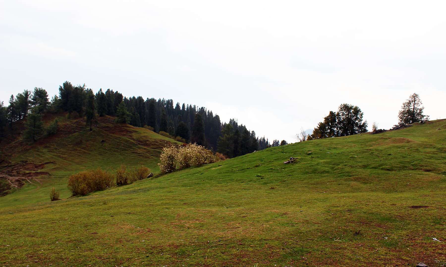 مشکہوری ٹاپ کا ایک خوبصورت منظر&mdash;تصویر عائشہ علی