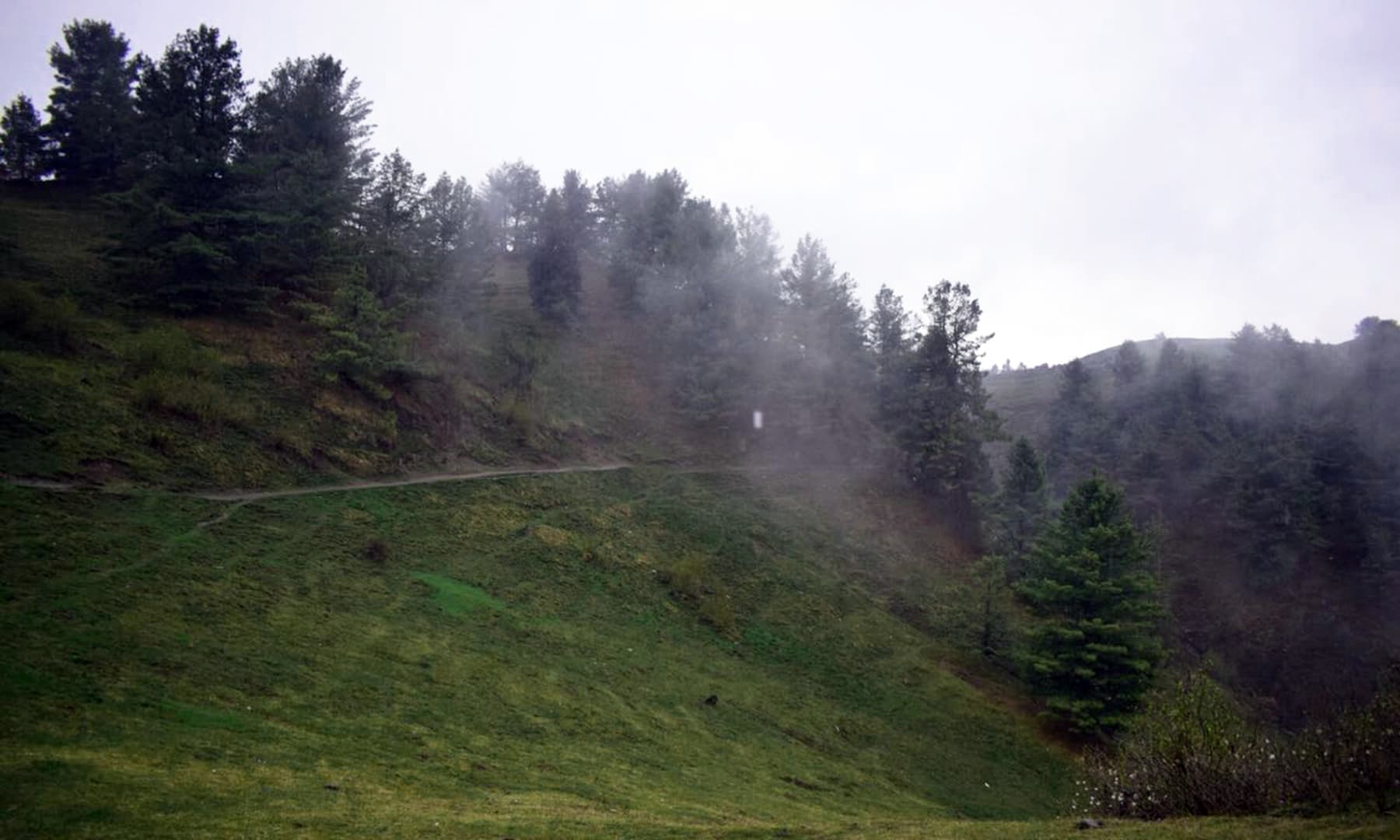 چوٹی تک پہچنے کی تگ و دو میں آسمان چھونے کی خواہش تو پوری نہیں ہوپاتی البتہ بادلوں کا لمس ضرور نصیب ہوتا ہے&mdash;تصویر عائشہ علی