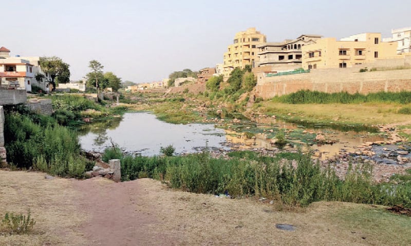 Korang Nullah flows along a locality in Islamabad&rsquo;s Zone IV. &mdash; White Star