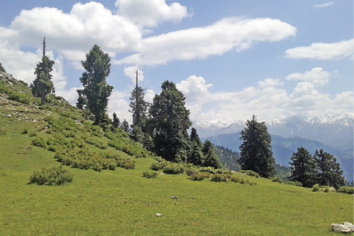 A view of Baleeja valley. — Dawn