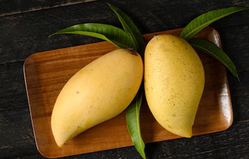 —اسکرین شاٹ —اسکرین شاٹ