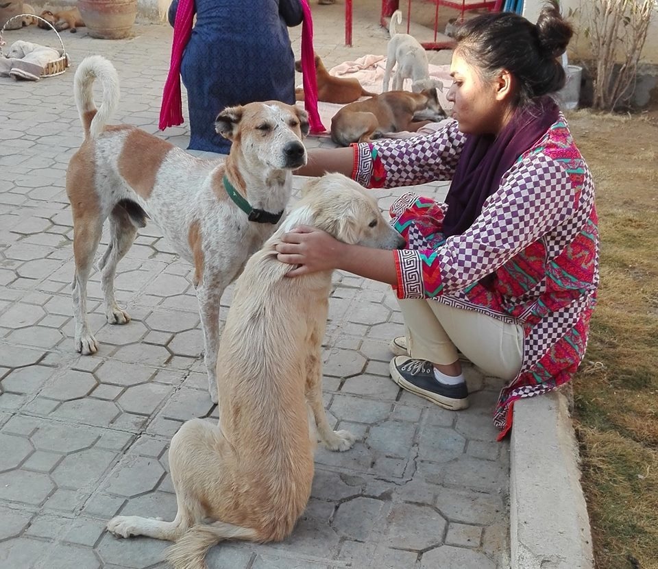 Playing with his humans.