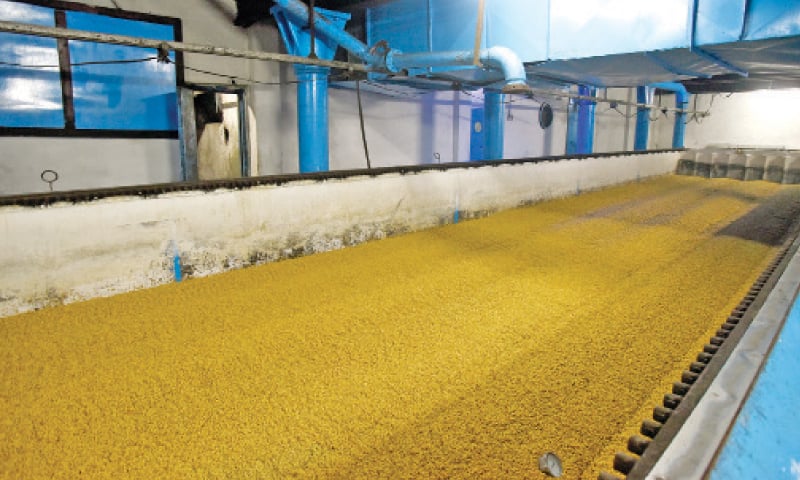 Barley is kept in a steep tank for three days for germination.