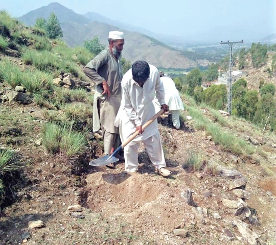 A man prepares land for planting a tree on a hill in Lower Dir on Sunday. &mdash; Dawn