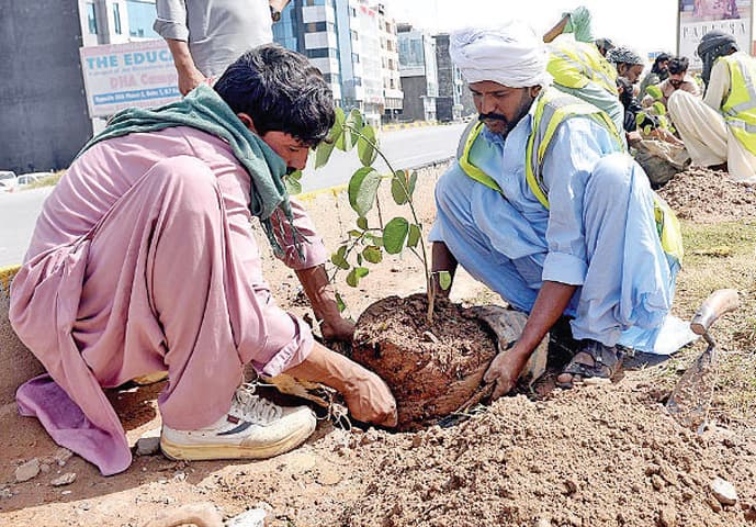 PHA gardeners plant saplings under the Clean and Green Pakistan campaign on Tuesday. &mdash; APP