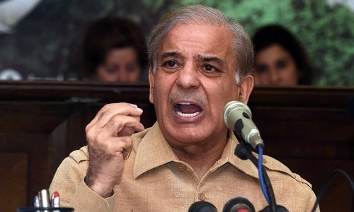 Opposition leader in National Assembly Shahbaz Sharif