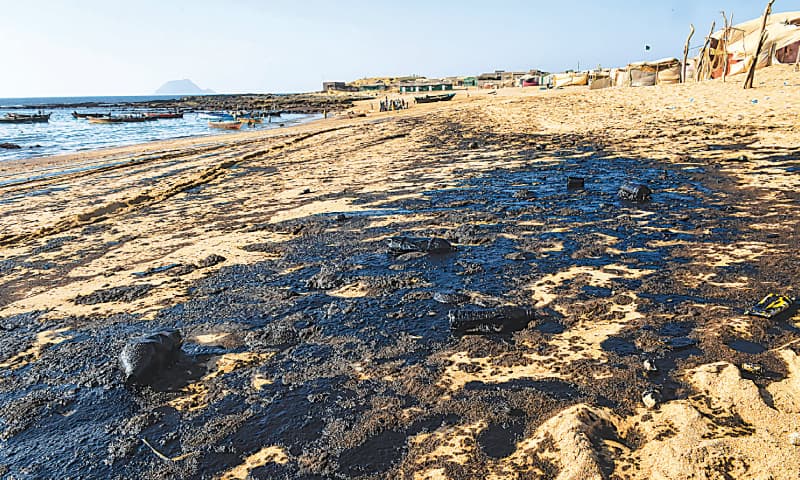 A large area of Mubarak village affected by oil spill and (right) a villager shows dead crabs covered in thick oil. —Fahim Siddiqi / White Star