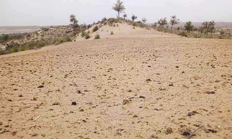The affected districts are Thar, Umerkot, Sanghar, Thatta, Badin, Jamshoro, Dadu and Qamber-Shahdadkot. — File The affected districts are Thar, Umerkot, Sanghar, Thatta, Badin, Jamshoro, Dadu and Qamber-Shahdadkot. — File