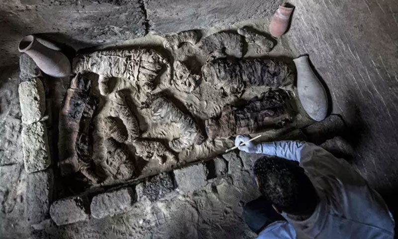 مصر میں دریافت شدہ حنوط شدہ بلیاں — فوٹو : اے ایف پی مصر میں دریافت شدہ حنوط شدہ بلیاں — فوٹو : اے ایف پی