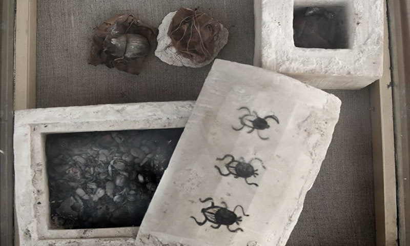 —فوٹو: اے ایف پی