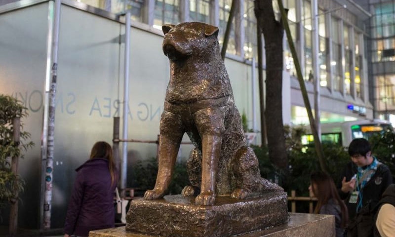 جاپان کے مشہور زمانہ وفادار کتے ہشیکو کا مجسمہ باقاعدہ ریلوے اسٹیشن پر نصب کیا گیا ہے&mdash; فائل فوٹو: اے ایف پی