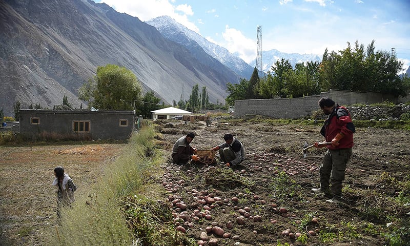 SC directs govt to share recommendations earlier adopted by high-level body.&mdash;  AFP/File