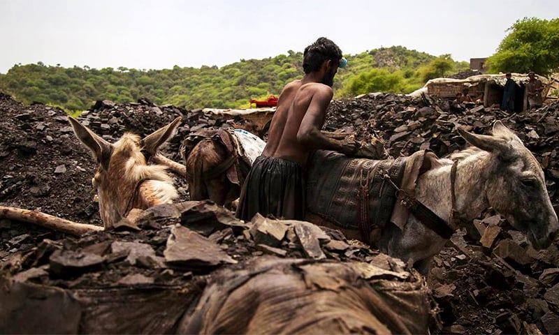 Sindh Agriculture University professor wants an Environmental Impact Assessment to address issues highlighted. ─ File photo
