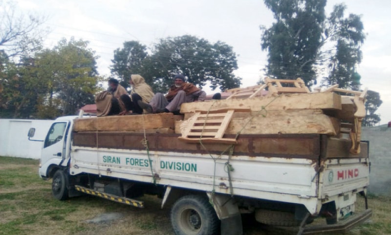 Seize Timber Arrest warrants for 134 timber smugglers issued - Newspaper - DAWN.COM