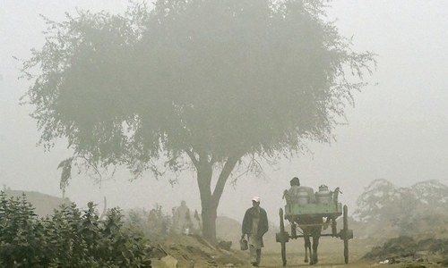 Light rain and snowfall over the hills, and dense fog in many cities in the plain areas made the weather cold and affected life in most parts of the country on Wednesday. &mdash; File photo