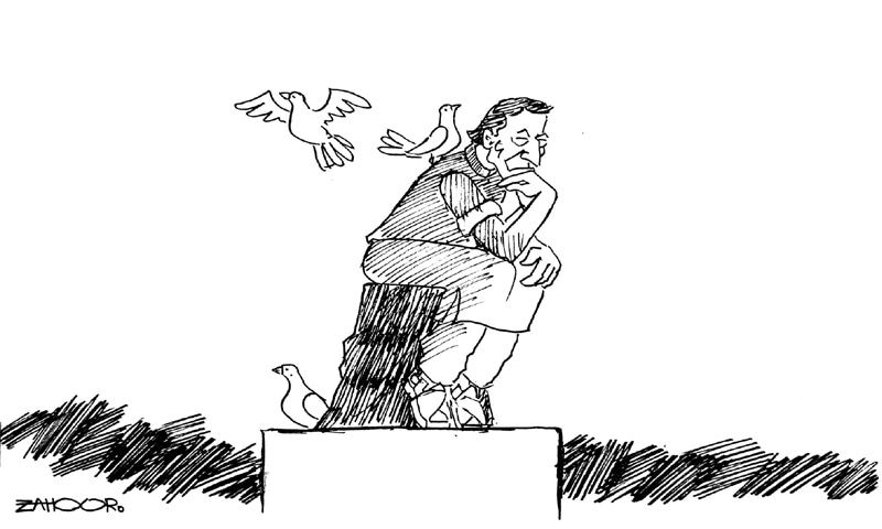 Zahoor's Cartoon