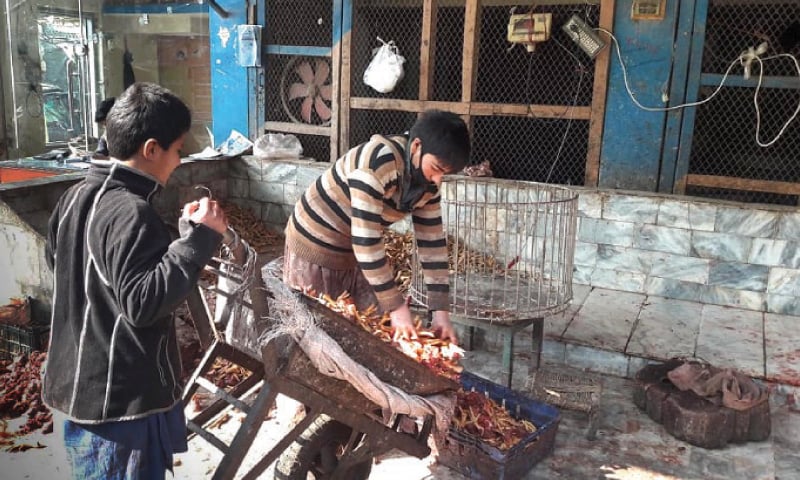 A boy unloads chicken feet from a wheelbarrow in Peshawar. &mdash;Dawn