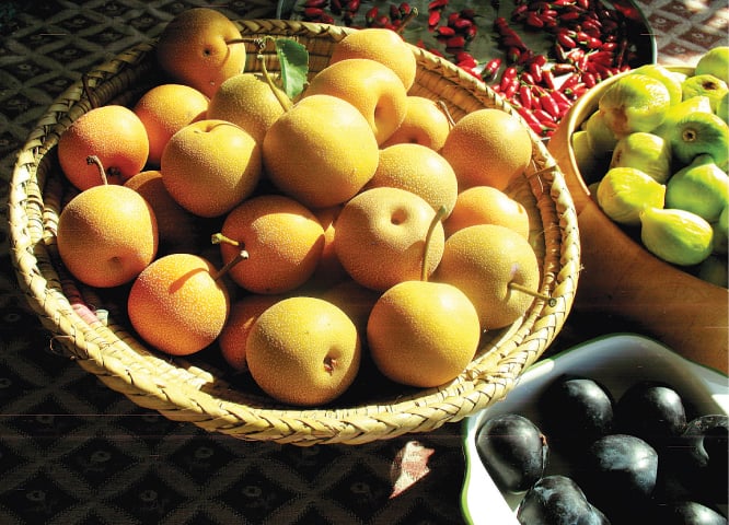 Chinese pears, golden figs & black plums for Charsadda | Photos by the writer