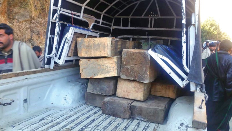 The timber seized by the forest department. &mdash; Dawn