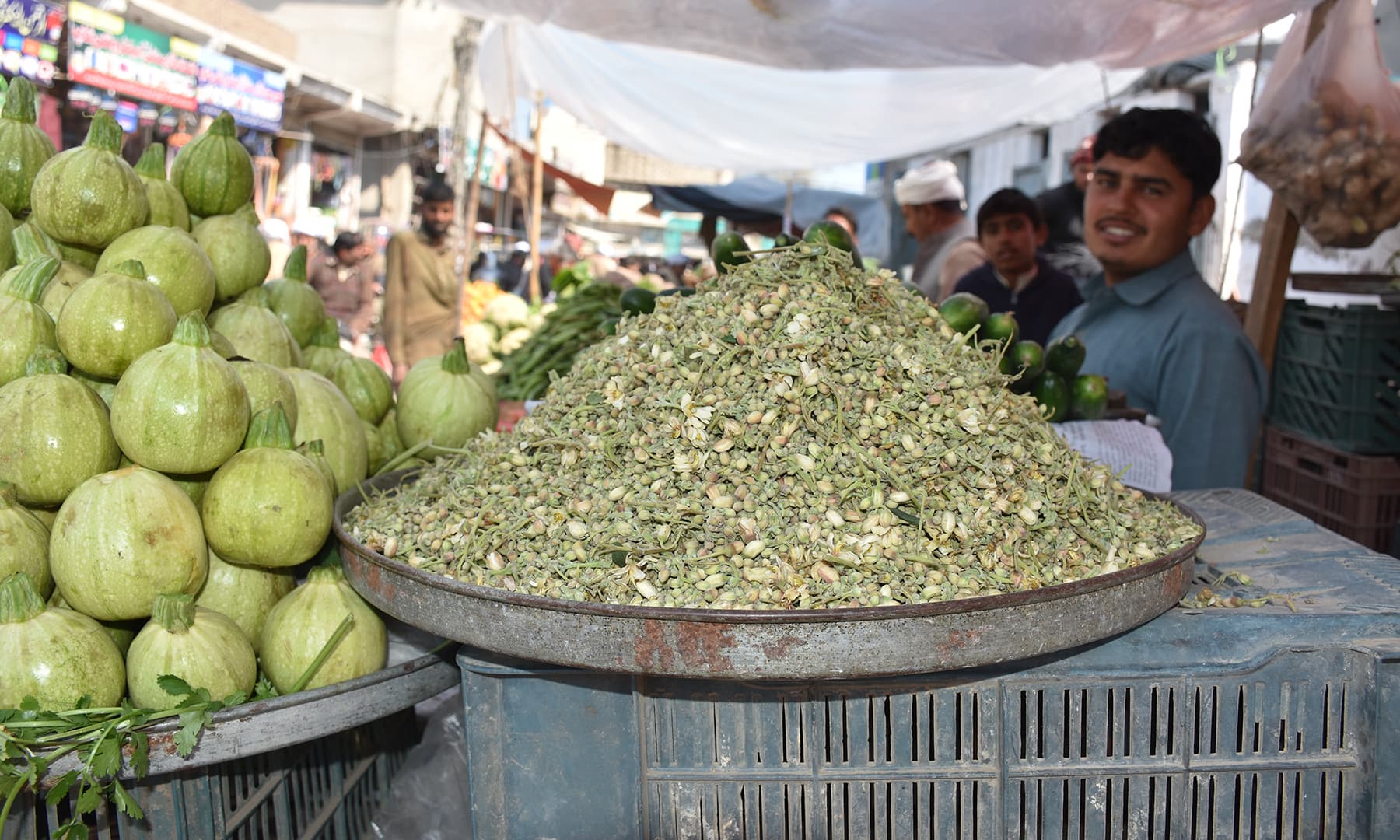 سہانجنے کے پھول بطور سبزی استعمال کیے جاتے ہیں—تصویر رمضان رفیق