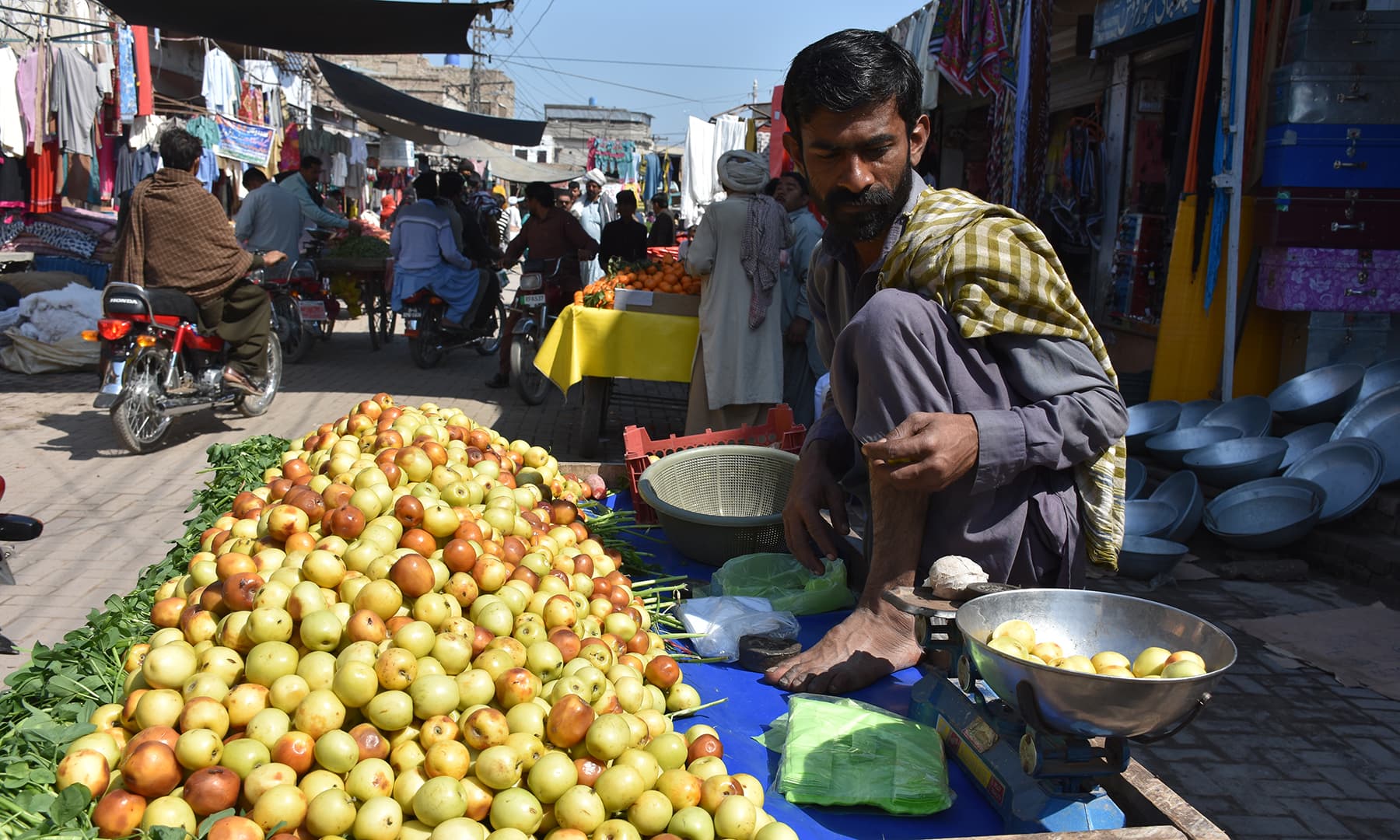 یہاں بیر کی مختلف اقسام پائی جاتی ہیں—تصویر رمضان رفیق