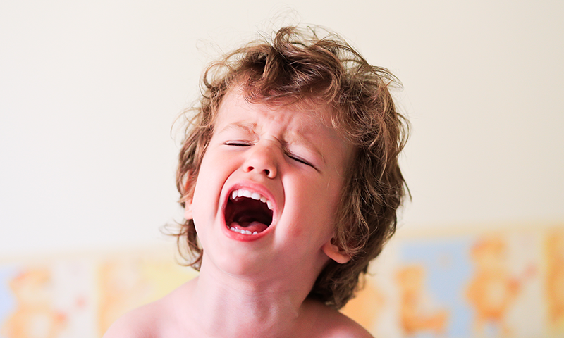 — شٹر اسٹاک — شٹر اسٹاک