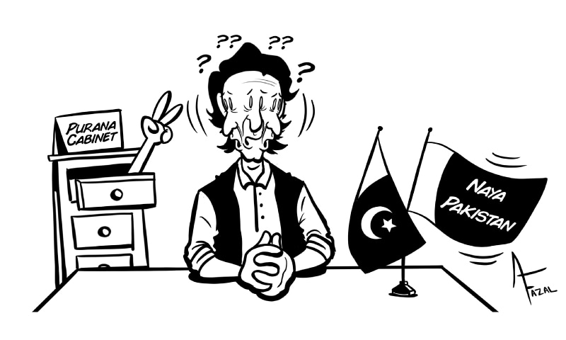 Fazal's Cartoon