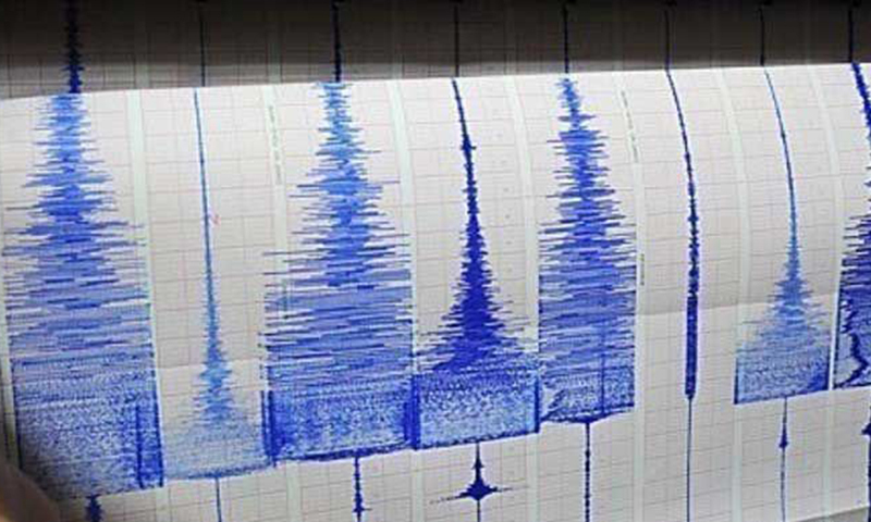 Officials say there are no immediate reports of major damage, the depth of the tremor meant there is no tsunami threat. — AFP/File