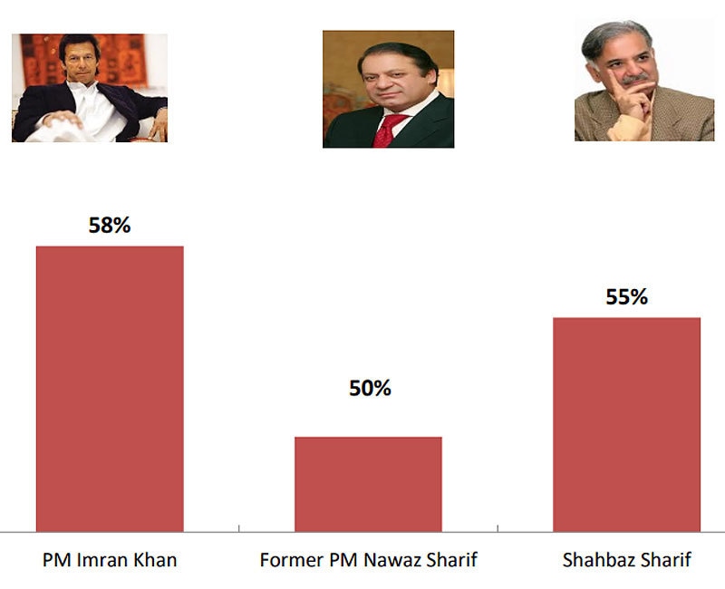 — گیلپ پاکستان سروے