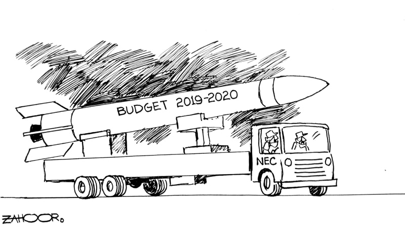 Zahoor's Cartoon