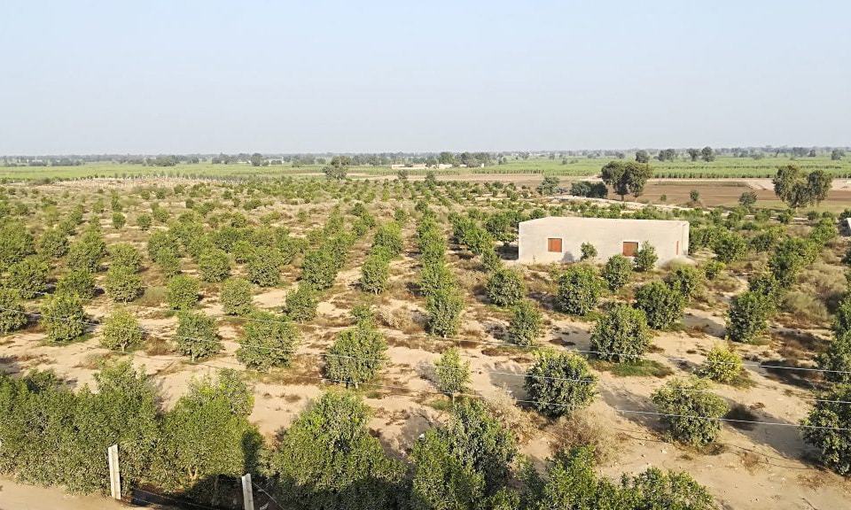 اس سے قبل حسن عبداللہ کے لیے جنوبی پنجاب میں اپنی اراضی پر کاشت کرنا انتہائی مشکل کام تھا &mdash; فوٹو: حسن عبداللہ