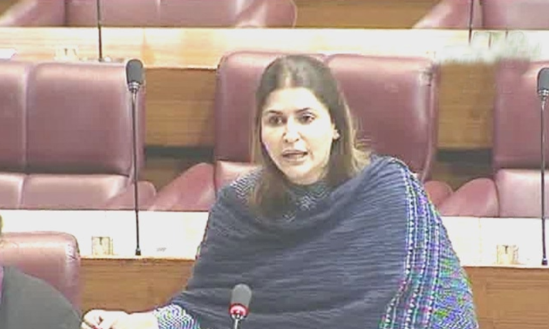 PPP MNA Shazia Marri lashes out on National Assembly floor against NAB for "harassing" Zardari. — DawnNewsTV screengrab