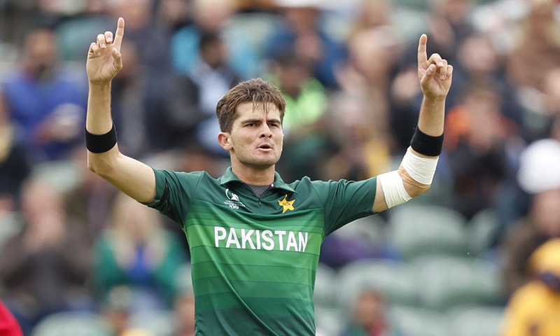 Shaheen Shah Afridi celebrates after bowling out Australia's Glenn Maxwell. ─ AP