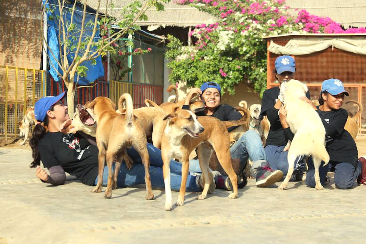 The ACF team having a cuddle session with rescued animals.