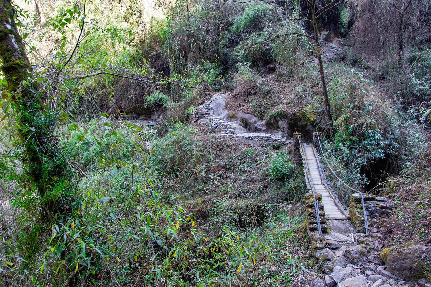 A dreamy bridge near Yassang.