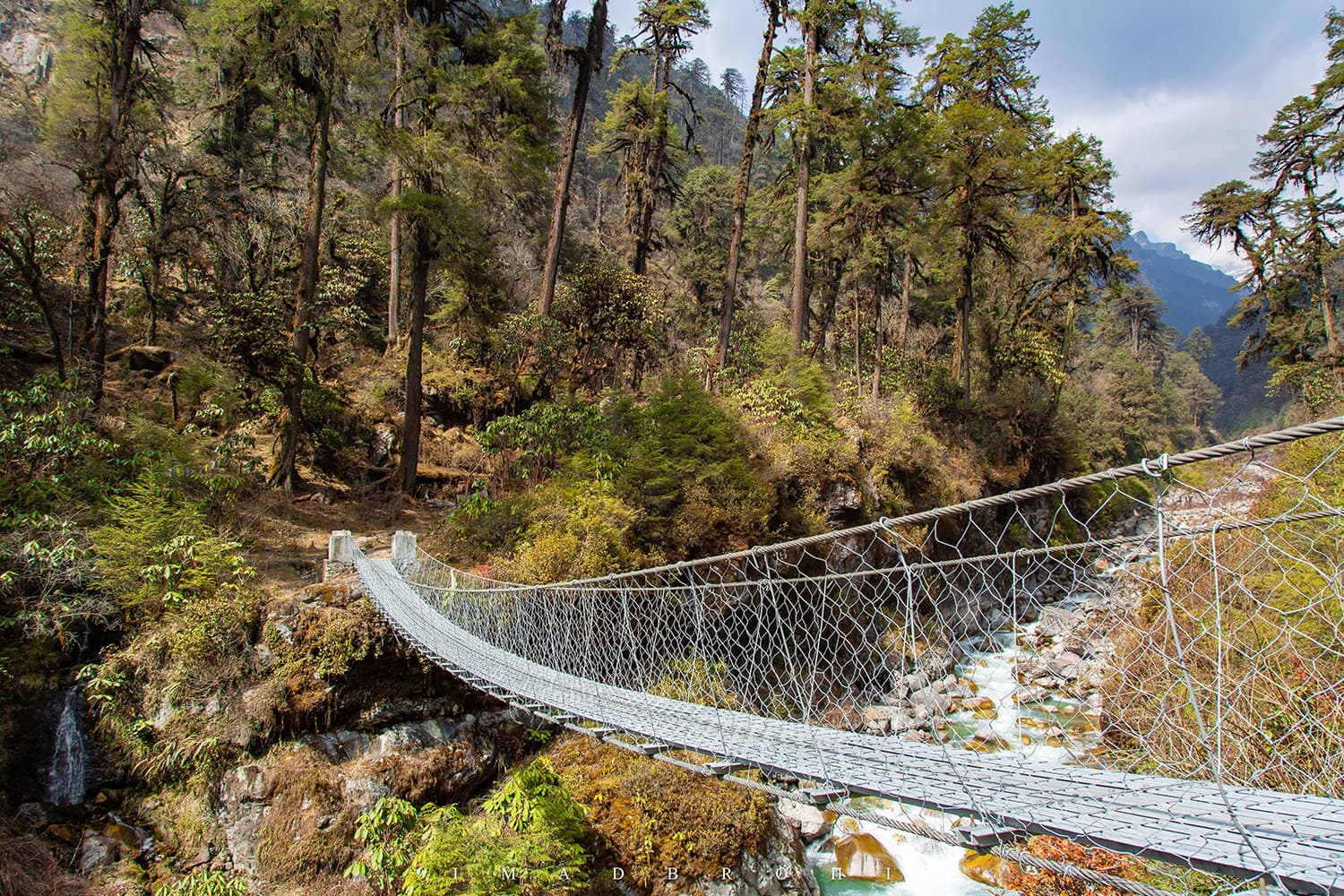 Last bridge before we enter green and beautiful Tortong