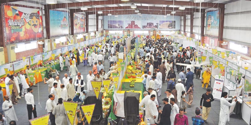 Visitors mill around stalls at the Expo Centre mango festival on Saturday.—Dawn