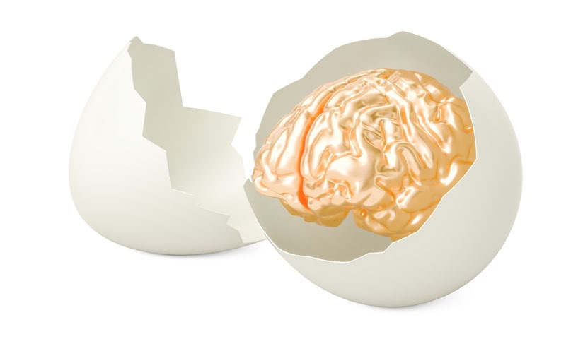 ÙÙÙ¹Ù/ Ø´Ù¹Ø±Ø§Ø³Ù¹Ø§Ú©