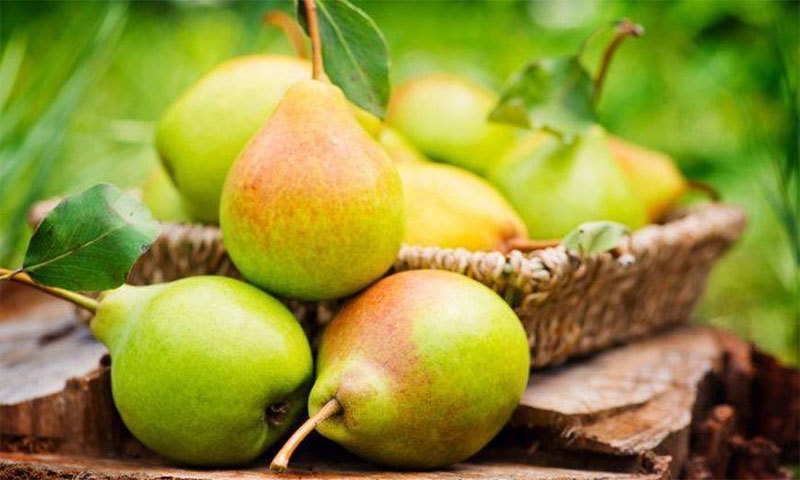 &mdash; شٹر اسٹاک فوٹو