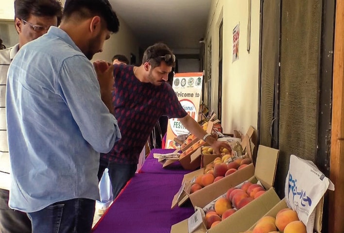 Visitors take interest in different varieties at Swat peach festival. —Dawn