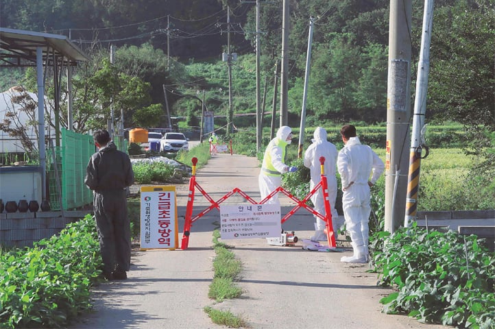 PAJU (South Korea): Quarantine officials set a barricade on a road to block people from entering in an area where pigs were confirmed to have been infected with African swine fever.—AFP